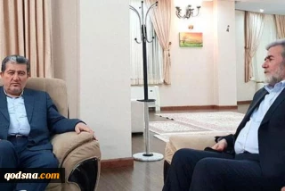 رئيس مجموعة الصداقة البرلمانية الايرانية الفلسطينية: دعم ايران للقضية الفلسطينية نابع من مبادئها الاعتقادية