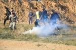 چهل و یکمین راهپیمایی بازگشت به روایت تصاویر
 11
