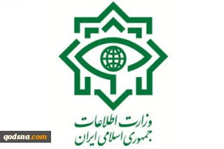 دستگیری 25 نفر از عوامل اخلال در نظام ارزی توسط وزارت اطلاعات