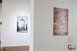 Exhibit "In the Color of Life" in the Garden of the Palace Museum 11