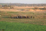 Forty-first march back to narrative images 7
