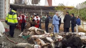 Pesawat Boeing 707 Jatuh atas Rumah Warga Tehran di Iran 12