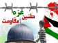 29 دی ماه؛روز مقاومت و
اعلام پایان رژیم اسرائیل