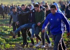 چهل و سومین راهپیمایی بازگشت در مرزهای غزه 17