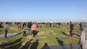 غزة.. الجمعة الـ46 لمسيرات العودة 5