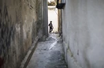 گشت و گذاری در اردوگاه جبالیا در غزه 9