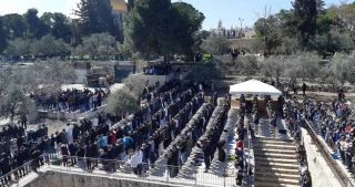 پیوند سه رخداد مهم و تاریخی در عرصه امروز فلسطین