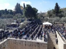 More than 40,000 worshipers perform Friday prayers in al - Aqsa 5