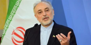 صالحی: 

دستاوردهای جدید هسته‌ای سال ۹۸ به بهره‌برداری می‌رسد/ انقلاب بستر خوداتکایی را به وجود آورد و بیداری را برای ملت فراهم کرد