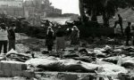 71 عامًا على مجزرة دير ياسين التي نفذتها الجماعات الصهيونية 2