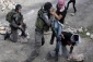 بازداشت فلسطینیان در حمله به کرانه باختری