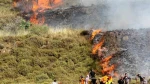 Israeli military: Off-duty soldier set fire to Palestinian fields
 2