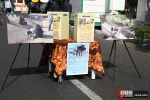Quds day  5