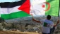 حماس تهنئ الجزائر بتأهل منتخبها إلى نهائي أمم افريقيا