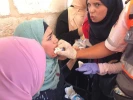 برپایی شکوهمند نماز عید قربان در مسجد الاقصی؛ نمازی از جنس مقاومت و ایستادگی 6