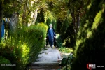 هفدهمین اجلاس سالانه روز جهانی مساجد 2