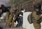 از سوی مرکز تحقیقات و برنامه ریزی سازمان آزادی بخش فلسطین مطرح شد؛

طی ماه سپتامبر 5 فلسطینی کشته، 600 نفر بازداشت و 57 خانه تخریب شد