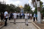تعرض حدود ۴۰۰ شهرک نشین صهیونیست به مسجدالاقصی طی یک هفته گذشته 2