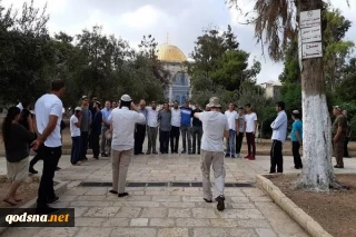تعرض حدود ۴۰۰ شهرک نشین صهیونیست به مسجدالاقصی طی یک هفته گذشته