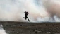 Hamas: Palestinians entitled to defending homeland, by ‘armed struggle’ in particular