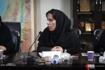 شانزدهمین نشست تخصصی " تحولات عراق-بازیگران و افق ها " 12