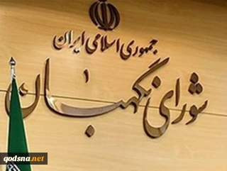 بیانیه شورای نگهبان؛

حماسه ۹ دی از حافظه تاریخ پاک نخواهد شد