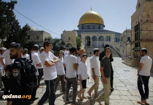 گزارشی از تحولات فلسطین/

یورش دهها شهرک نشین صهیونیست به مسجدالاقصی/ بیانیه حماس درباره اقدامات سرکوبگرانه تشکیلات خودگردان/  یورش صهیونیستها به العیسویه و  ضرب و شتم یک جوان/  4 منزل فلسطینی در معرض تخریب 2
