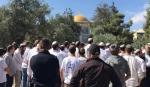 حمله صدها صهیونیست طی هفته گذشته به مسجد الاقصی 2