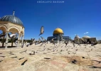 حراس المسجد الأقصى المبارك يطعمون الطيور والقطط ويعتنون بها 2