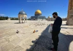 حراس المسجد الأقصى المبارك يطعمون الطيور والقطط ويعتنون بها 5