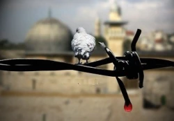 فلسطین در کلام
 شهید مطهری 2