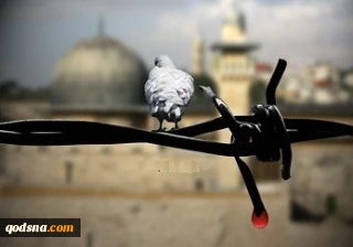 فلسطین در کلام
 شهید مطهری