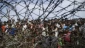 Malaysia Minta PBB Tangani Masalah Pengungsi Rohingya