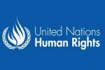 International Human Rights Committee condemns violence against African Americans 2