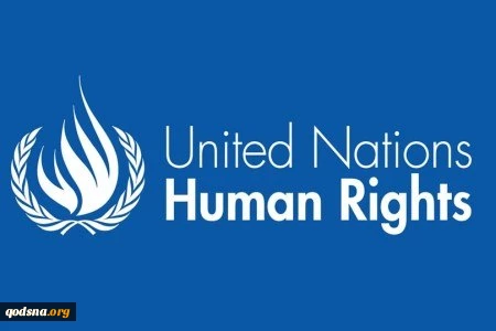 Komite Hak Asasi Manusia Internasional mengutuk kekerasan terhadap orang Amerika-Afrika 2