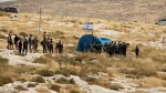 Sejumlah Warga Palestina Cidera akibat Serangan Militer Israel
 2