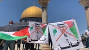 موضع گیری فلسطینی‌ها علیه توافق خیانت بار امارات 4