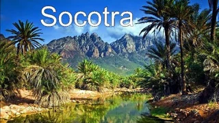 Dengan Dukungan Koalisi Saudi, Israel Mulai Aktif di Socotra Yaman