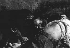 38 عاما على مجزرة صبرا وشاتیلا 2