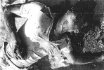 38 عاما على مجزرة صبرا وشاتیلا 4