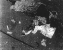 38 عاما على مجزرة صبرا وشاتیلا 17