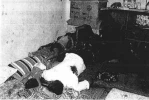 38 عاما على مجزرة صبرا وشاتیلا 19