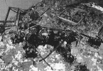 38 عاما على مجزرة صبرا وشاتیلا 21