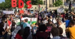 bds