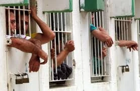Zionist troops abducted 446 Palestinians in October