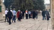 مستوطنون يواصلون اقتحام باحات الاقصى 3
