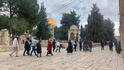 مستوطنون يواصلون اقتحام باحات الاقصى 4