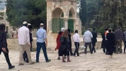 مستوطنون يواصلون اقتحام باحات الاقصى 5