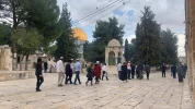 مستوطنون يواصلون اقتحام باحات الاقصى 7
