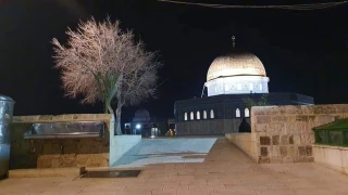 چند  خبر کوتاه از فلسطین/

تعویق مذاکرات فتح و حماس در قاهره/ سفر هیات جنبش جهاد به مسکو/ مسجدالاقصی به روی مسلمانان بسته شد (تصاویر)